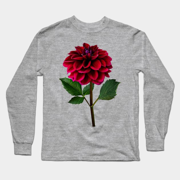 Red Dahlia in Sunshine Long Sleeve T-Shirt by SusanSavad